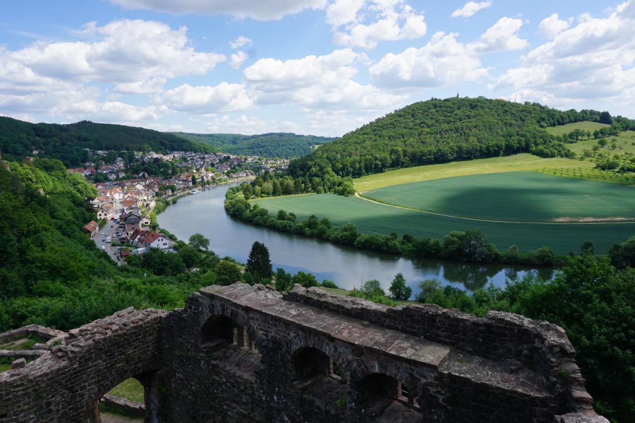 Fewo Am Neckarsteig Mit Anbindung An Heidelberg Neckarsteinach Exterior foto