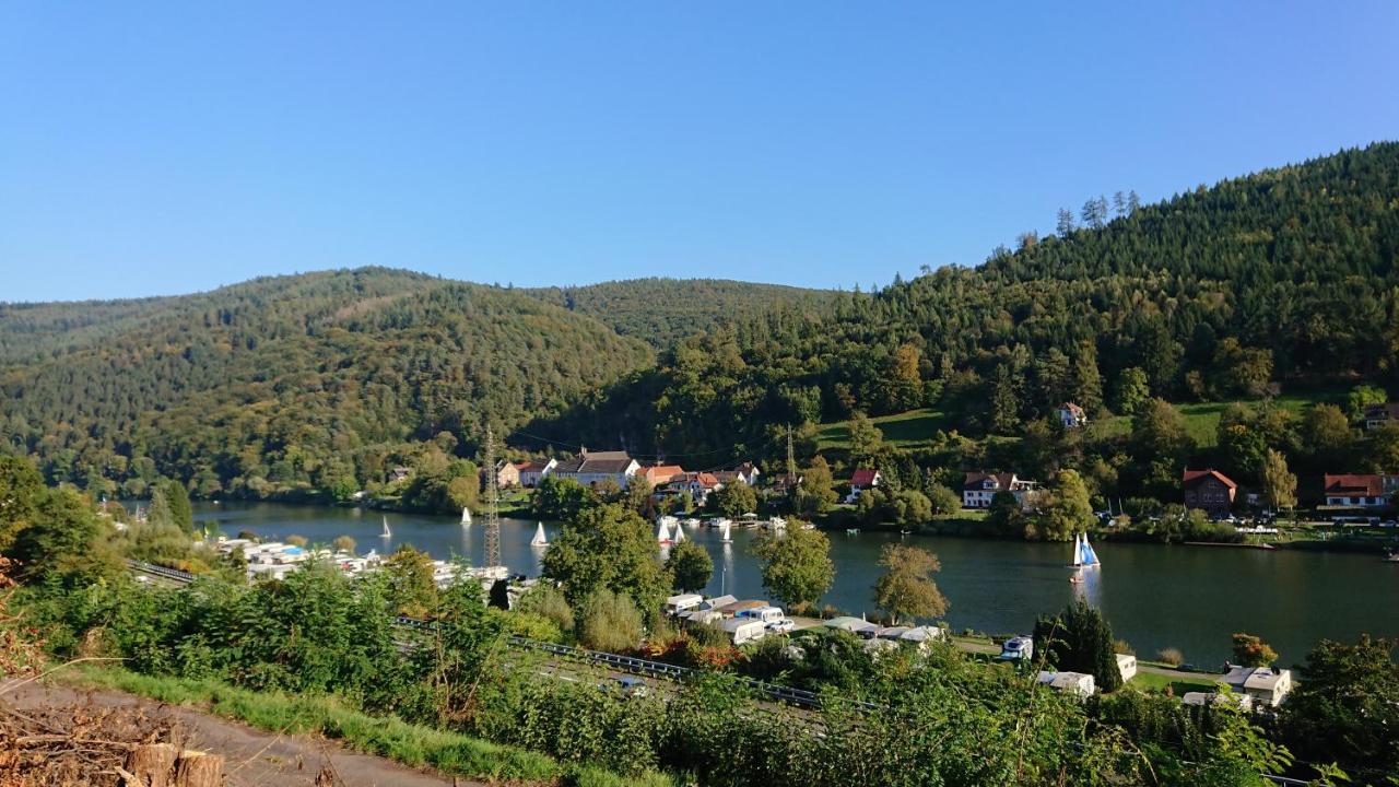 Fewo Am Neckarsteig Mit Anbindung An Heidelberg Neckarsteinach Exterior foto