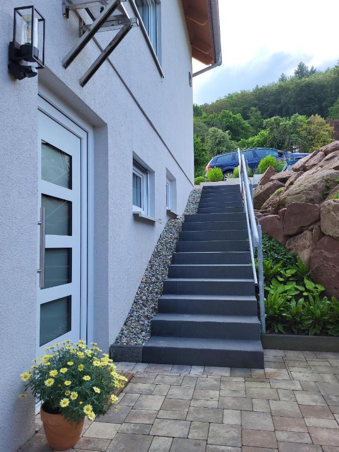 Fewo Am Neckarsteig Mit Anbindung An Heidelberg Neckarsteinach Exterior foto